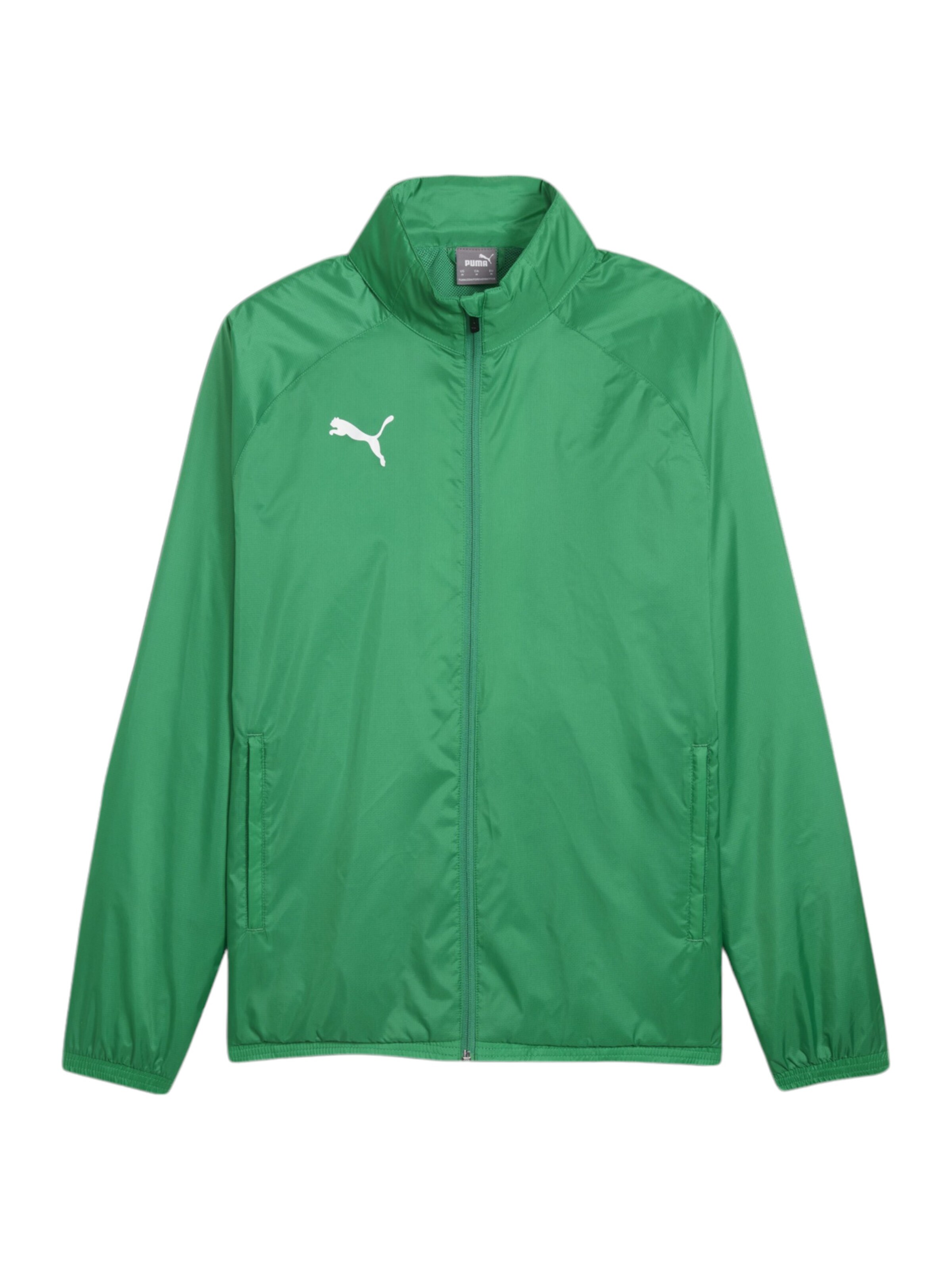 PUMA Athletic Jacket 'TeamGoal' in Green: front