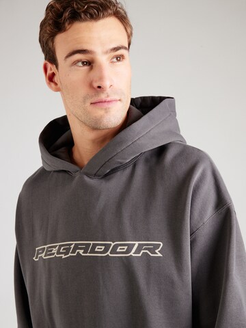 Pegador Sweatshirt 'ALDEN' in Grey