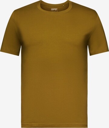 T-Shirt ESPRIT en vert : devant