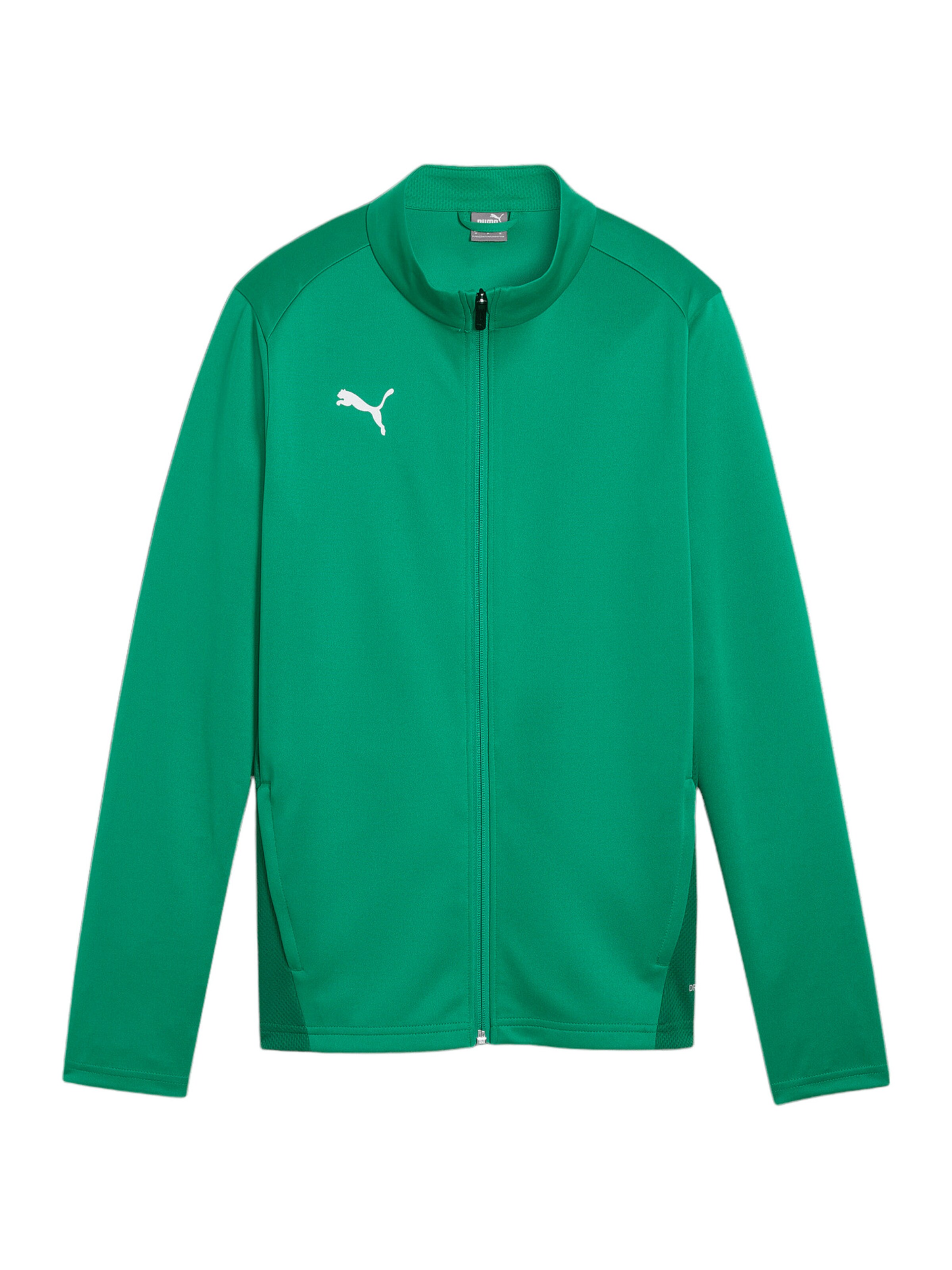PUMA Trainingsjacke 'TeamGoal' in Grün: Vorderseite