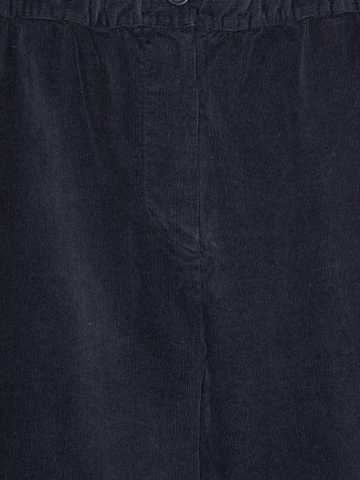 GABBA Regular Broek in Blauw