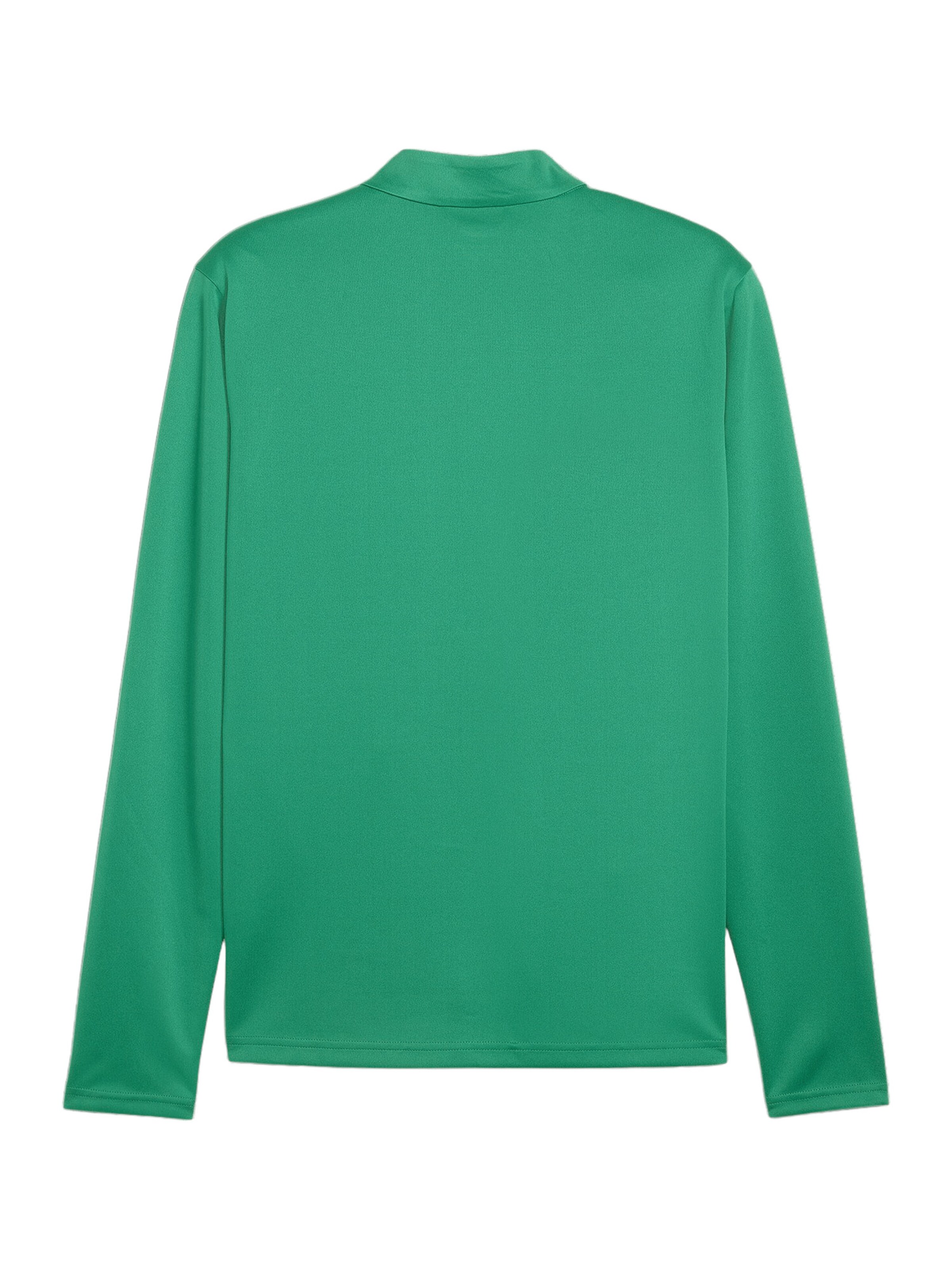 PUMA Training Jacket 'TeamGoal' in Green