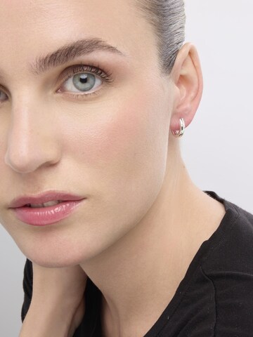 Luxenter Earrings 'Donwa' in Silver