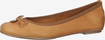 SCAPA Ballet Flats in Brown: front