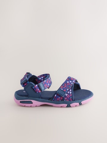 Sandales Next en violet