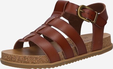 Blowfish Malibu Sandals 'FILLIP' in Brown: front