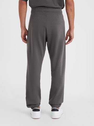 O'NEILL Loose fit Pants 'Future Surf Society' in Grey