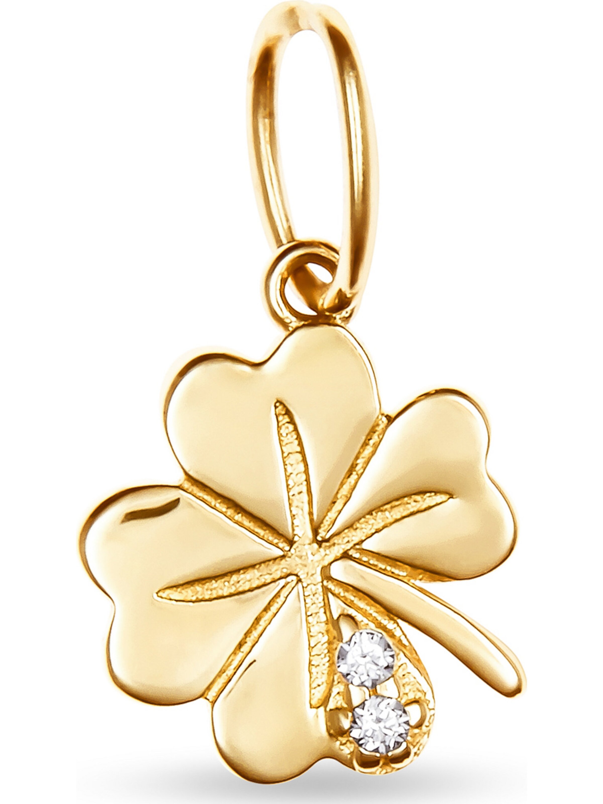 FAVS Anhänger in Gold: Vorderseite