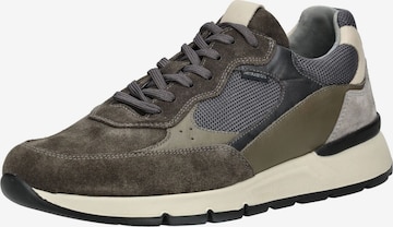Sneaker bassa di Nero Giardini in verde: frontale