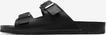 Bianco Mules 'EMILIO' in Black: front