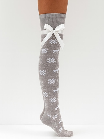 Lycille Over the Knee Socks in Grey