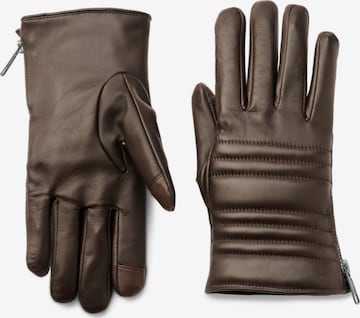 Fawler Full Finger Gloves 'Apex' in Brown: front