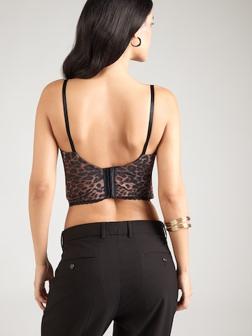 brūns Hunkemöller Bezvīļu Krūšturis 'Ella'