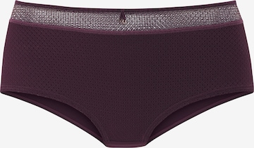 Culotte NUANCE en violet : devant