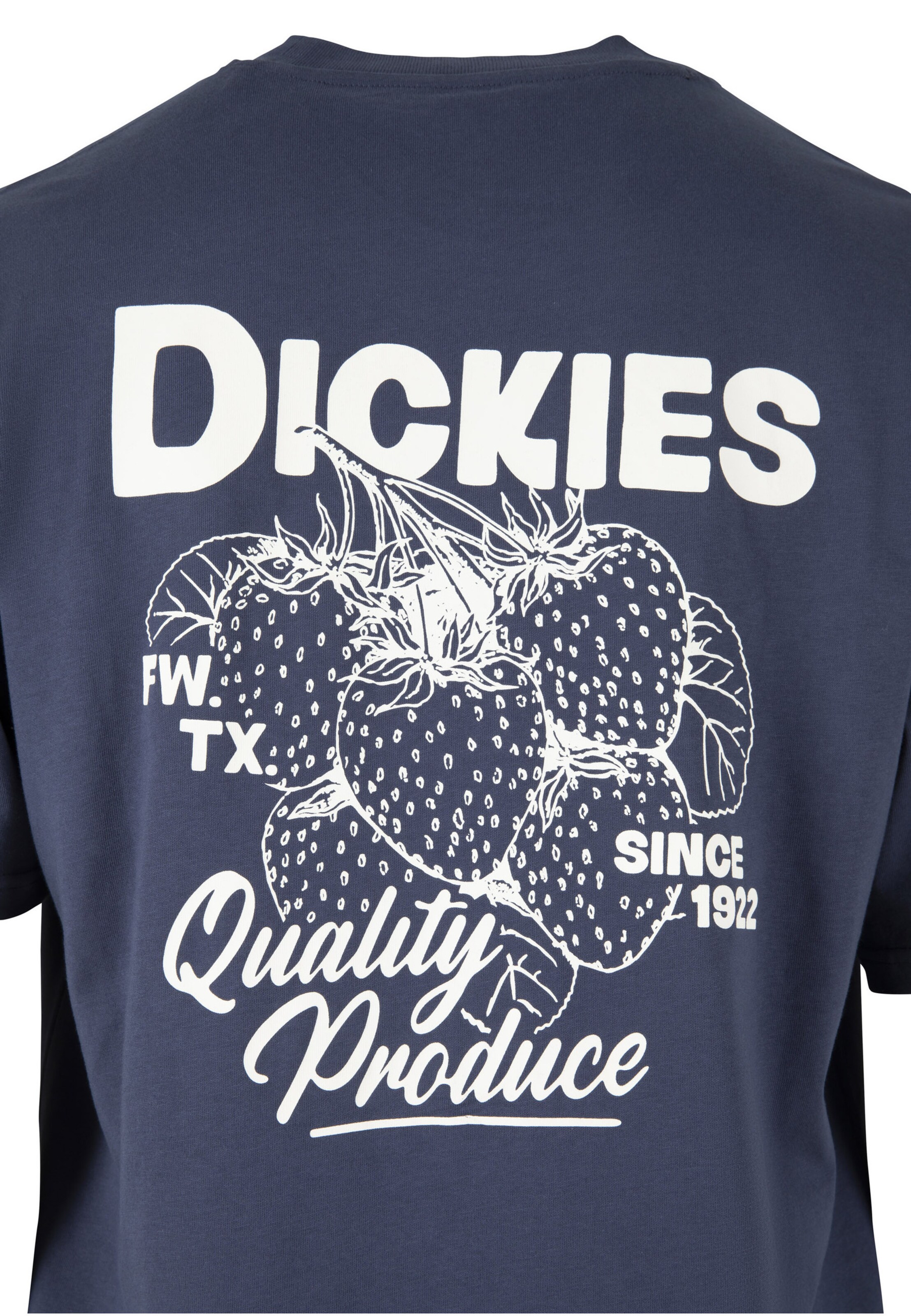 Maglietta 'Berryfield' di DICKIES in blu: dietro