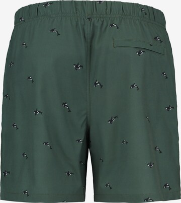 Shiwi Plavecké šortky – zelená