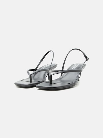 STEVE MADDEN Tådelare 'Carley' i svart