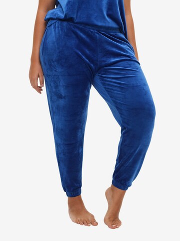 Zizzi Tapered Pants in Blue: front