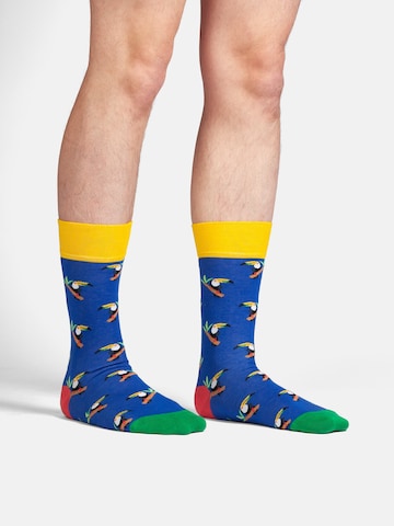 Chaussettes 'Exotic Trio' DillySocks en mélange de couleurs : devant