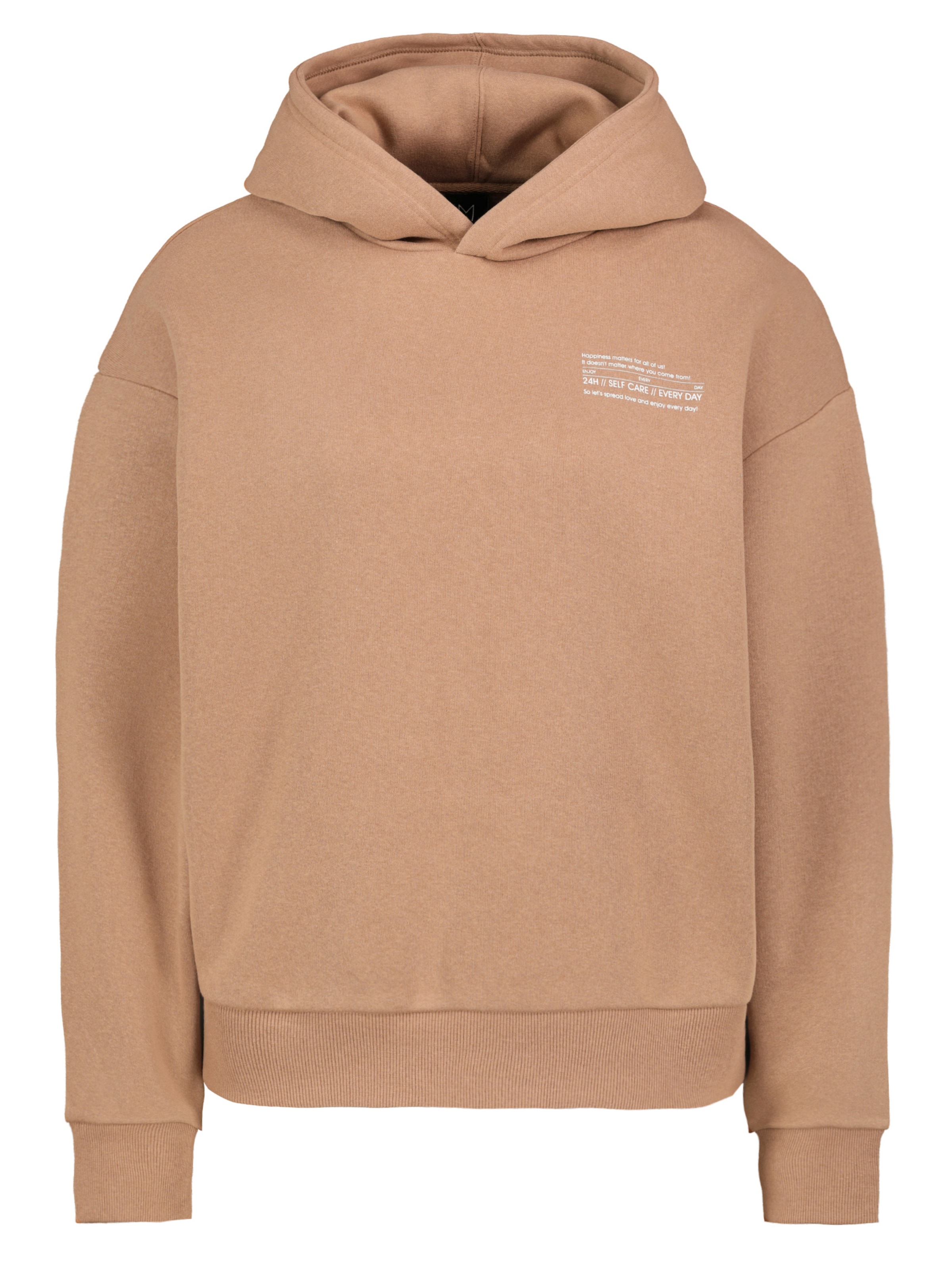 Sublevel Sweatshirt in Brown: front