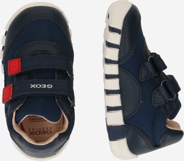 GEOX Sneaker 'IUPIDOO' in Blau