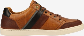 PANTOFOLA D'ORO Platform trainers 'Palme' in Brown