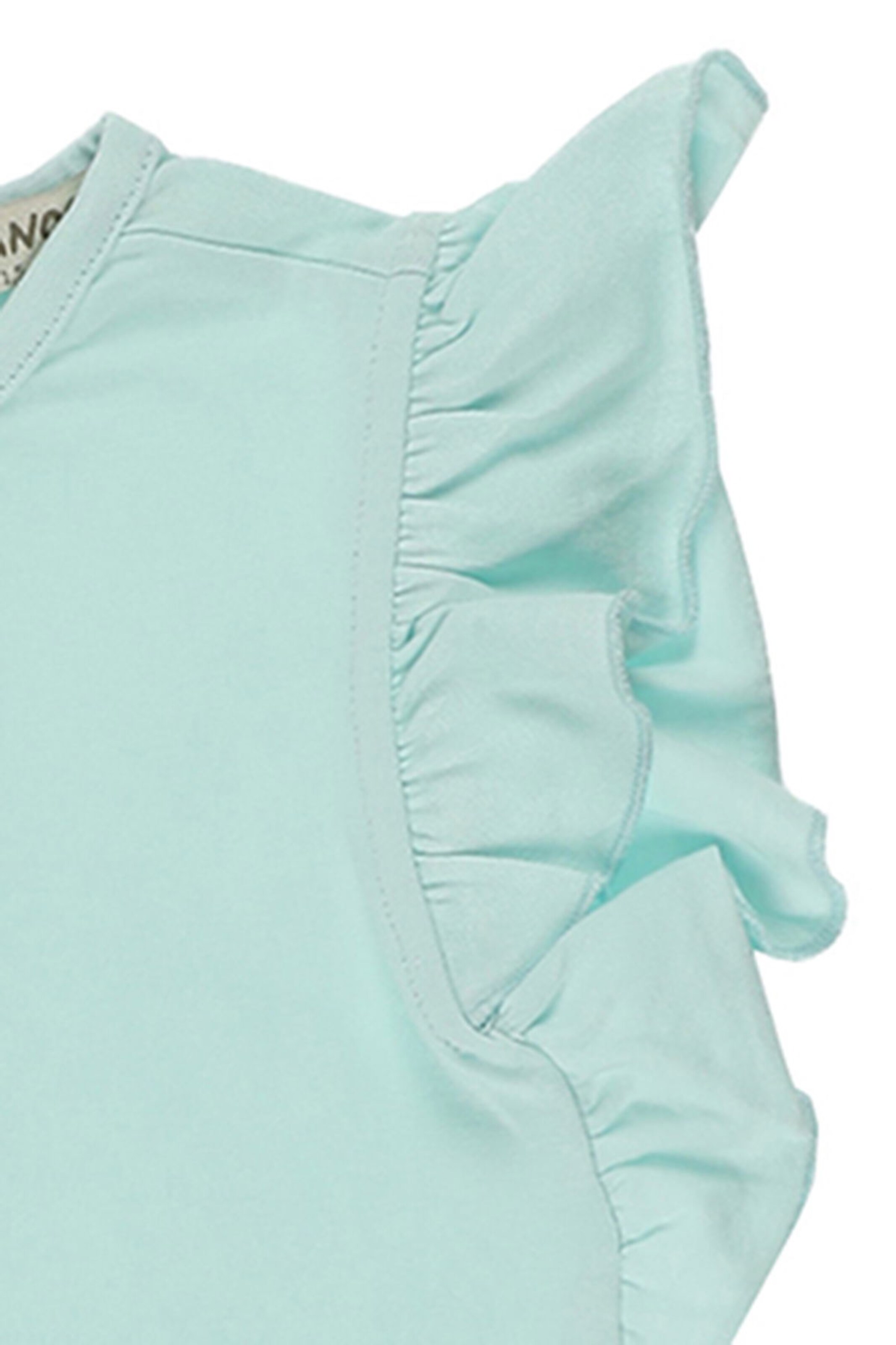 Panço Shirt in Groen