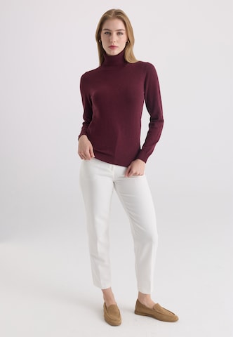 Pull-over Felix Hardy en rouge