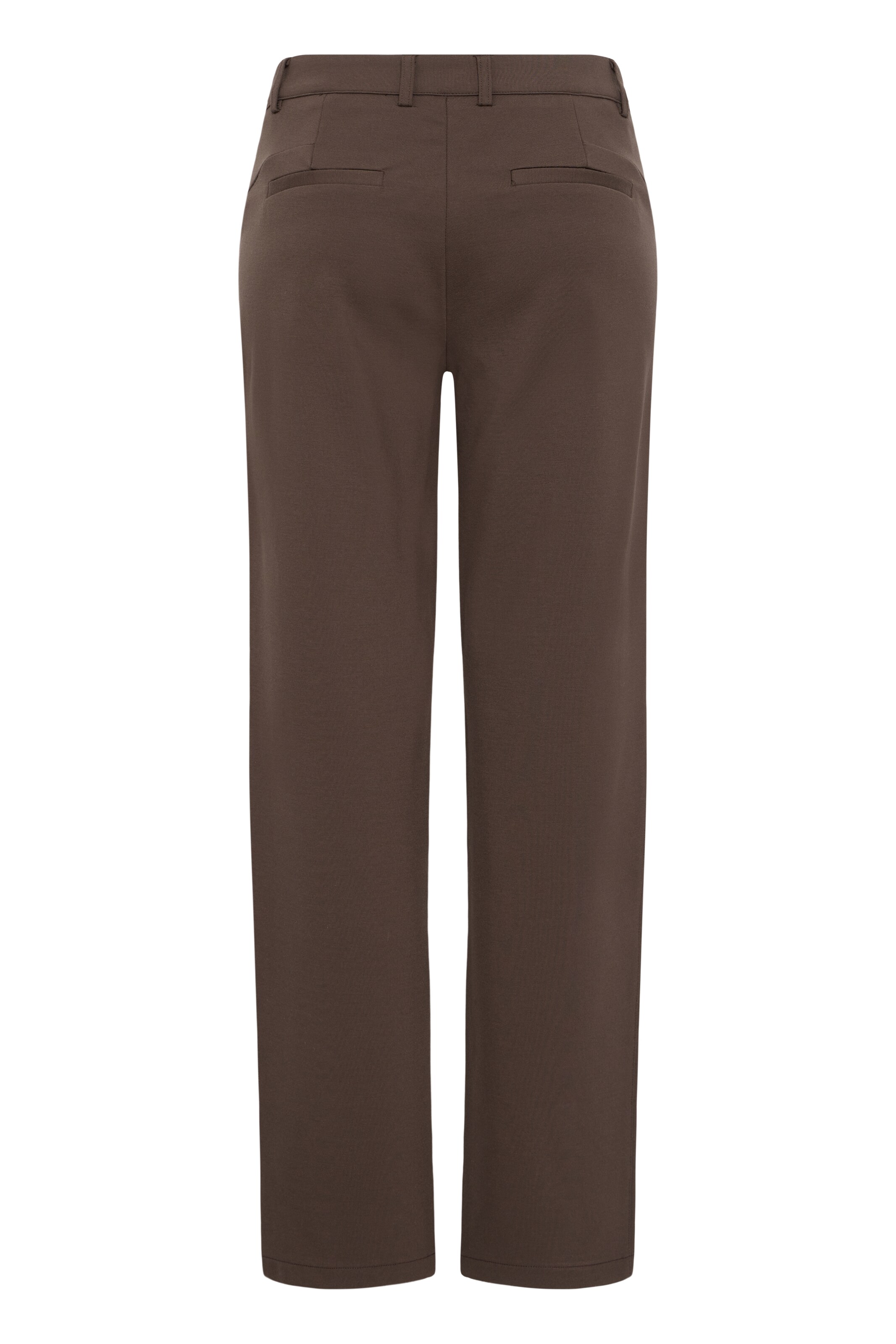 Fransa Regular Chino trousers 'FRLANO' in Brown