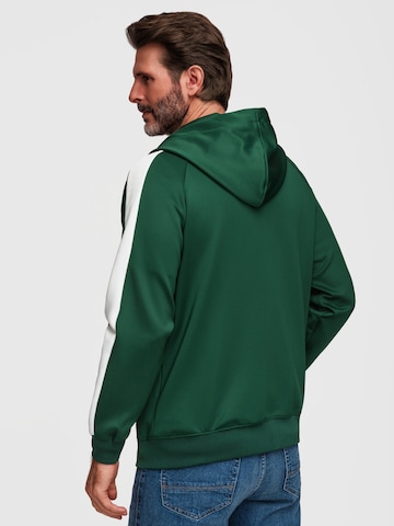 Ombre Sweatshirt in Green