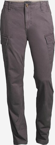 AÉROPOSTALE - Slimfit Pantalón cargo en gris: frente