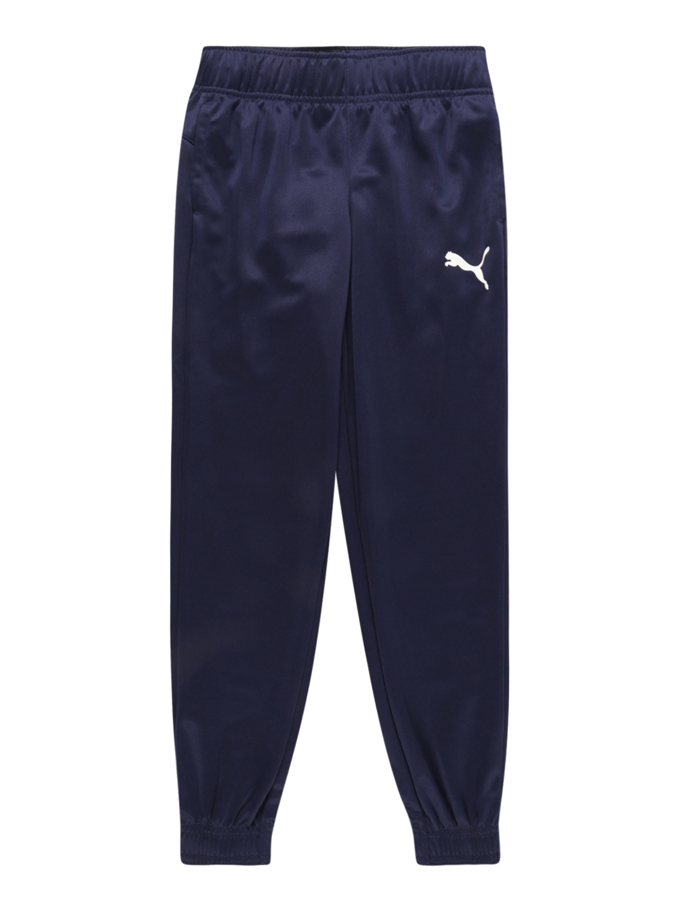 Tapered Pantaloni 'Active' de la PUMA pe albastru: față