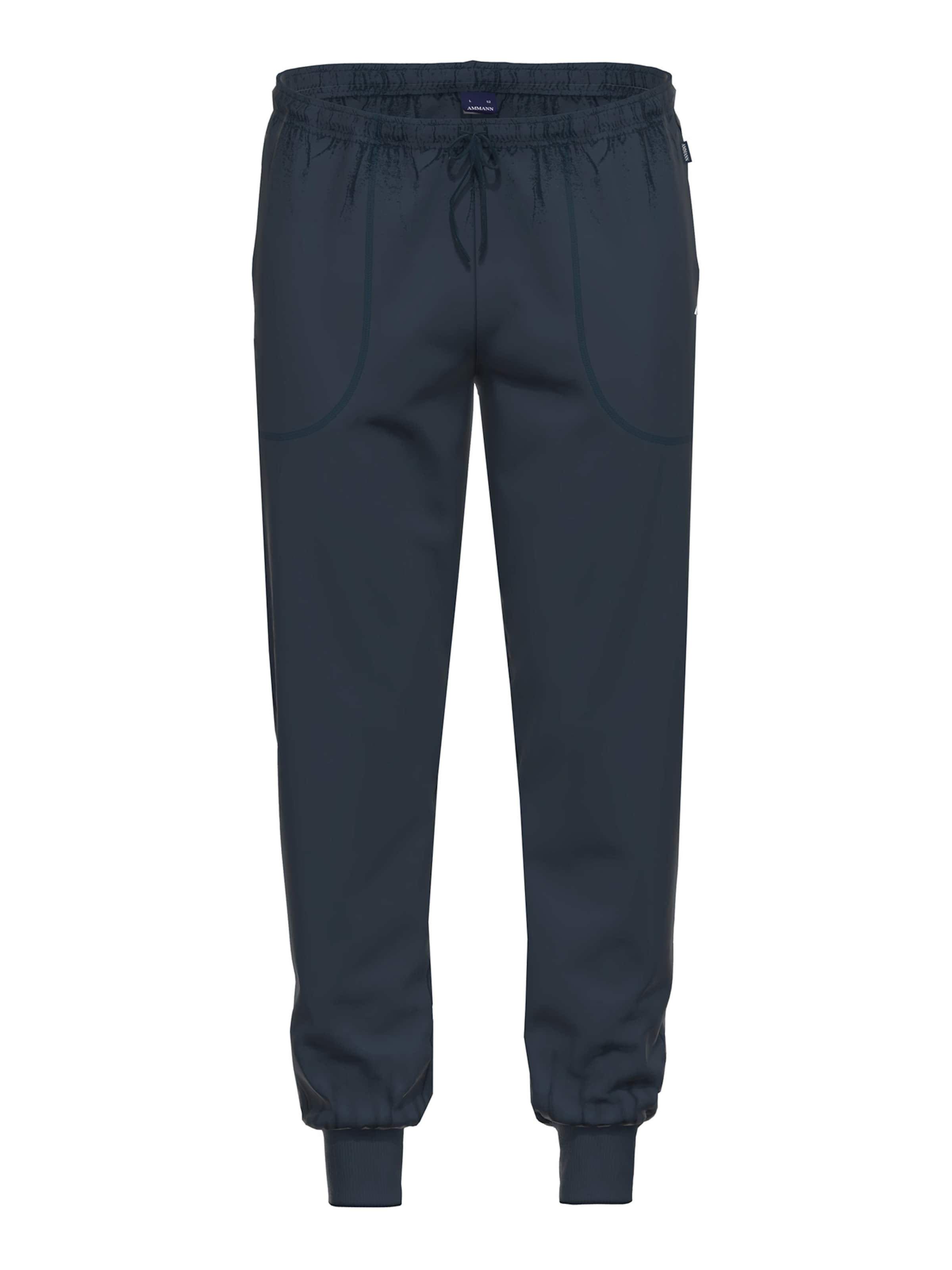 Regular Pantalon de sport ' Iowa ' Ammann en bleu : devant