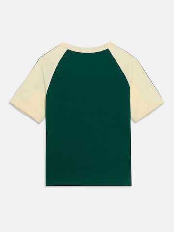 ADIDAS ORIGINALS Shirt in Groen