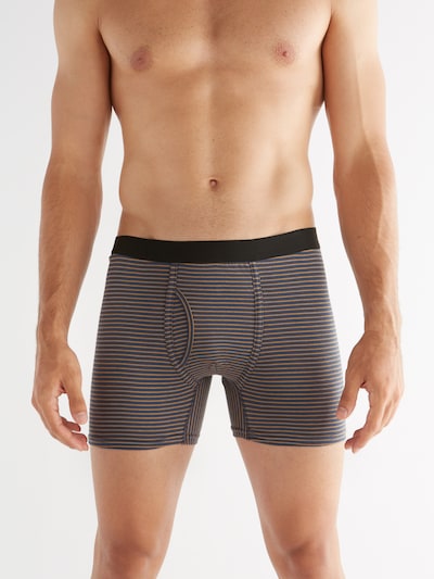 Albero Natur Boxer shorts in Indigo, Item view