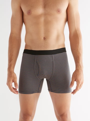 Albero Natur Boxershorts in Blau: Vorderseite