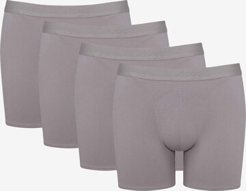 SLOGGI Boxer shorts in Grey: front