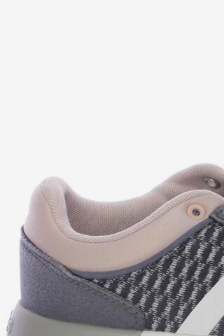 ADIDAS NEO Sneakers & Trainers in 38,5 in Grey