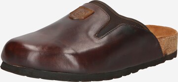 bugatti Slippers 'Bobbi' in Brown: front