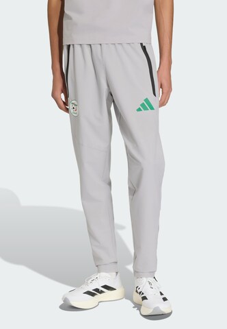 Effilé Pantalon de sport 'Algerien Tiro' ADIDAS PERFORMANCE en gris : devant