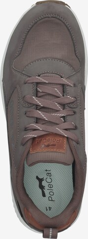 PoleCat Sneakers 'ARENA ALBERTVIL' in Brown