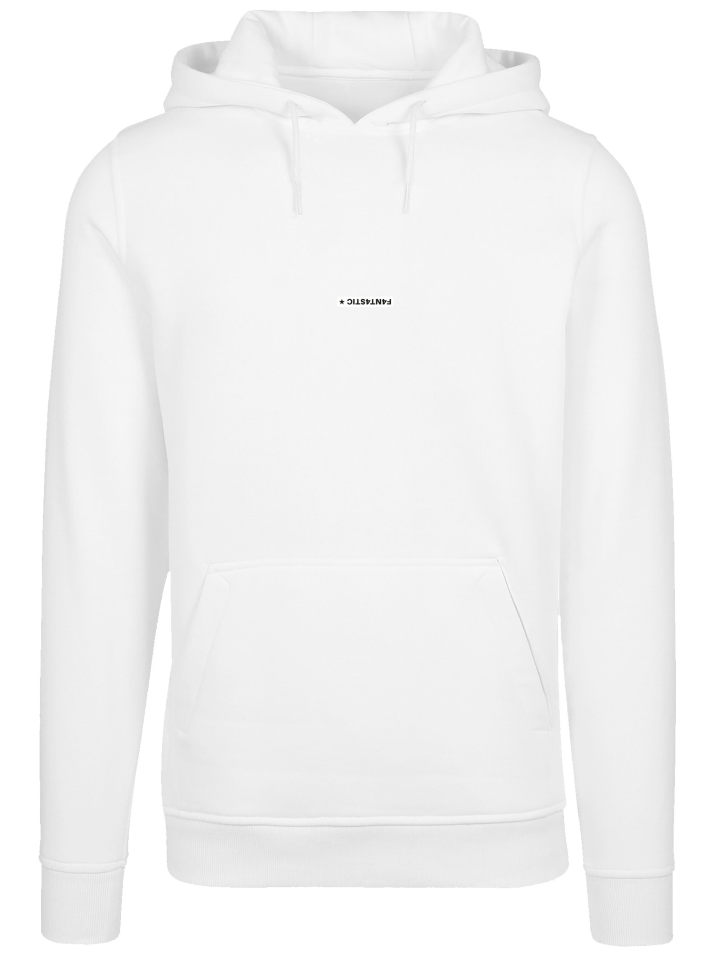 Sweat-shirt 'MOUNTAIN' F4NT4STIC en blanc : devant