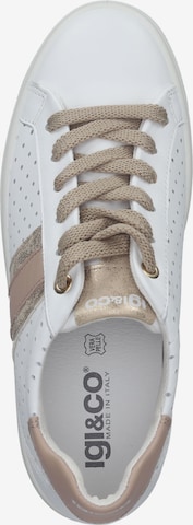 IGI&CO Sneakers laag in Wit