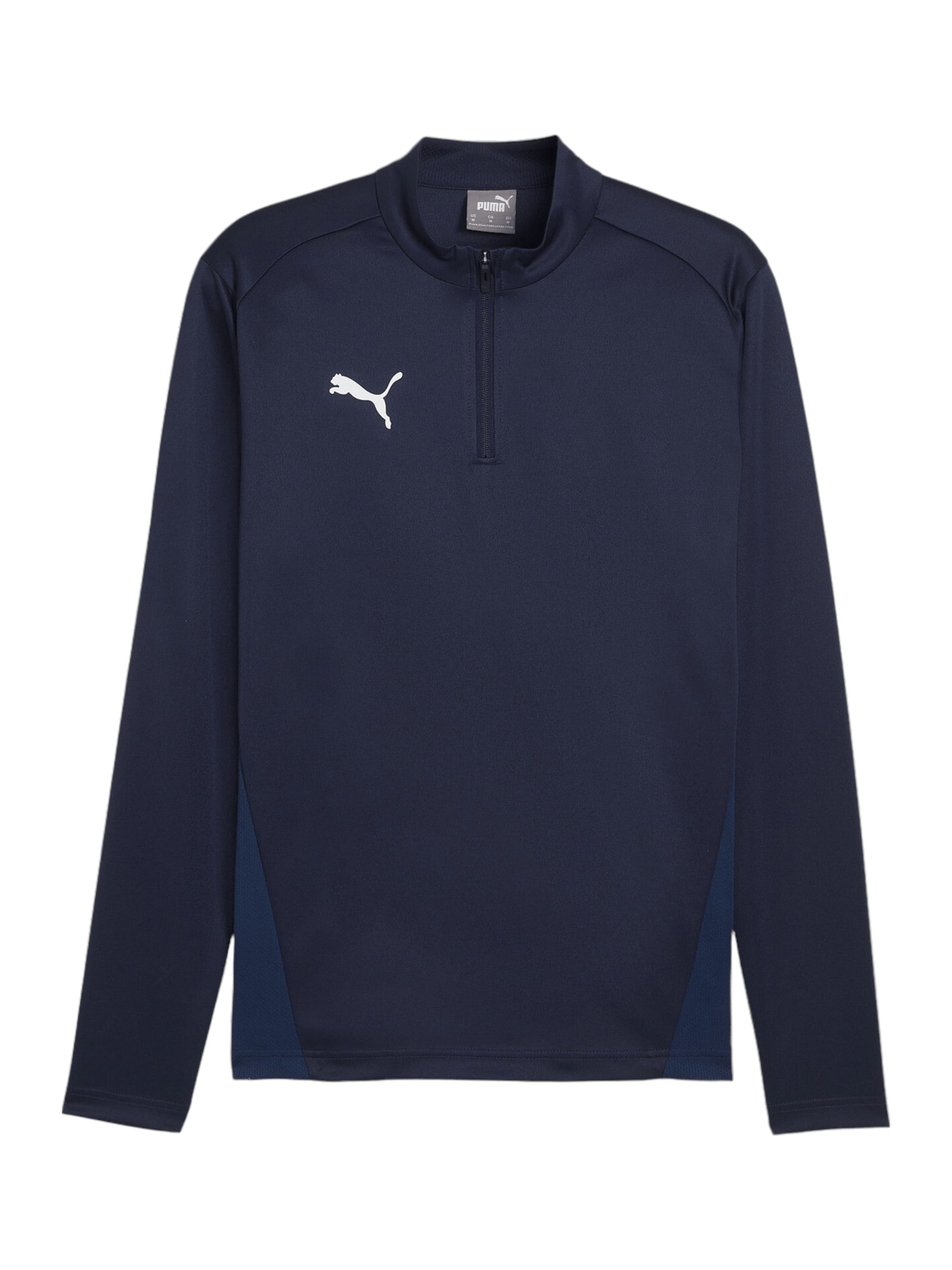 PUMA Funktionsshirt 'TeamGoal' in Blau: Vorderseite