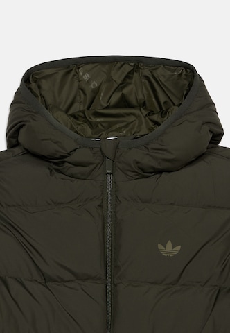 ADIDAS ORIGINALS Демисезонная куртка в Зеленый