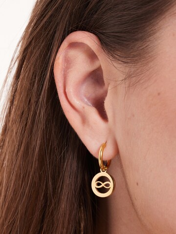 Lucardi Earrings in Gold: front