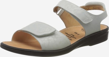 Ganter Sandals in Grey: front