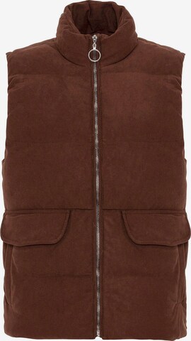 Antioch Vest in Brown: front