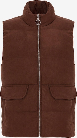 Gilet di Antioch in marrone: frontale