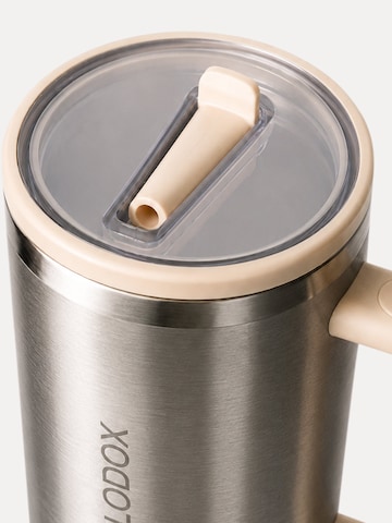 Gourdes ' Termis ' Smilodox en argent